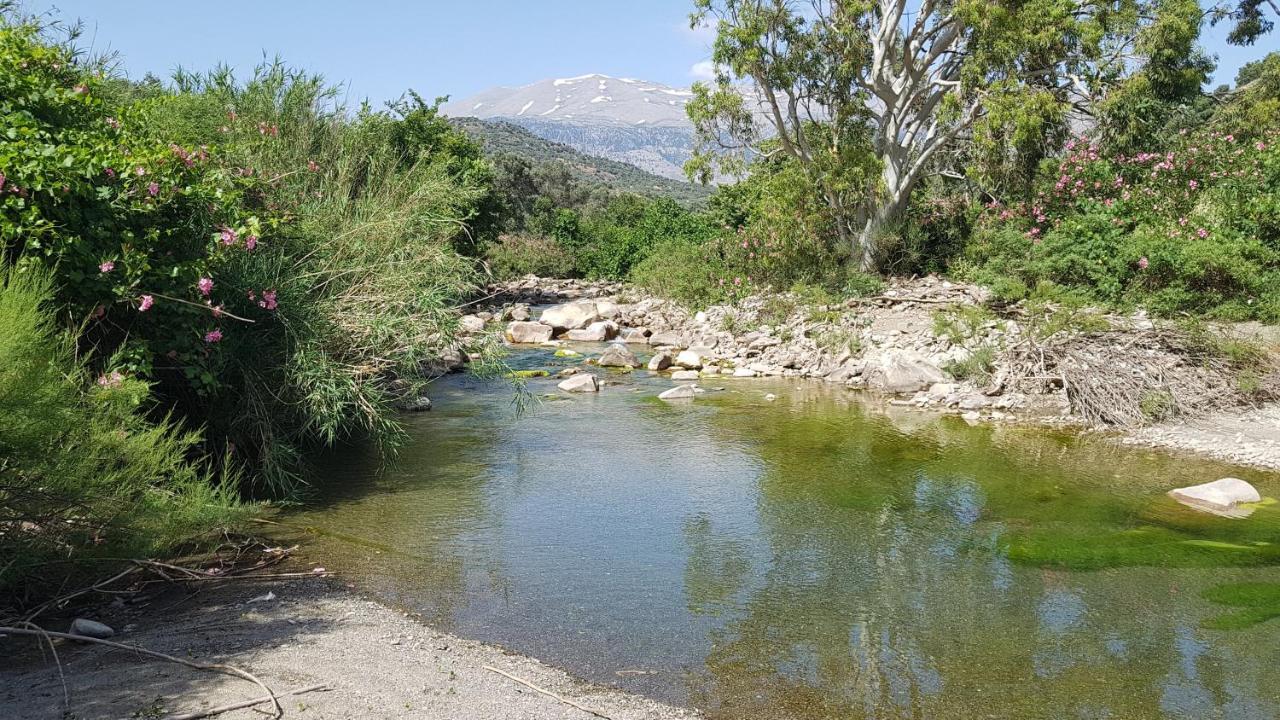 Ferienwohnung Galini Breeze Agia Galini Exterior foto